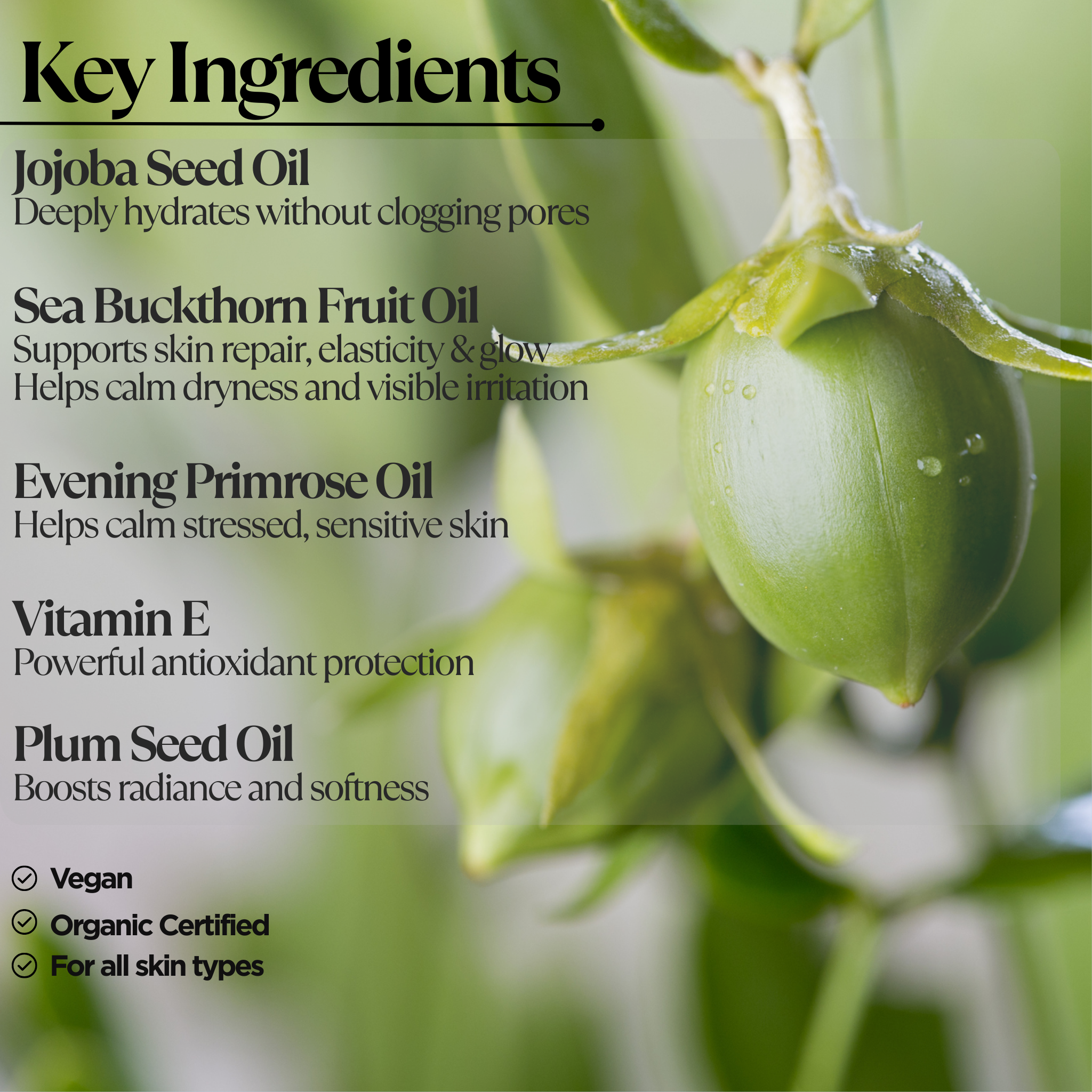 All-In-One Facial Oil