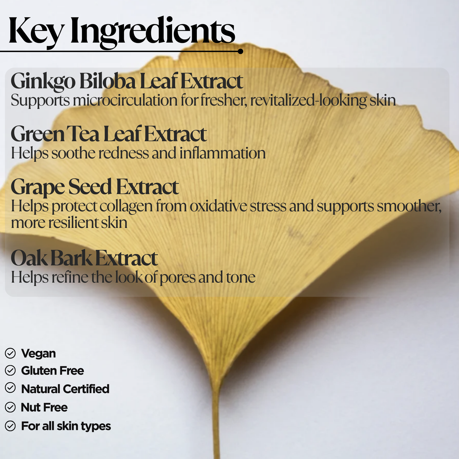 Antioxidant Ginkgo Gel Booster