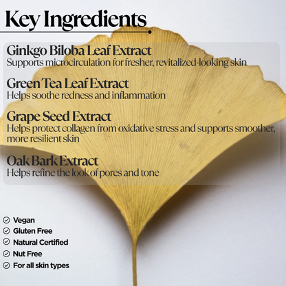 Antioxidant Ginkgo Gel Booster