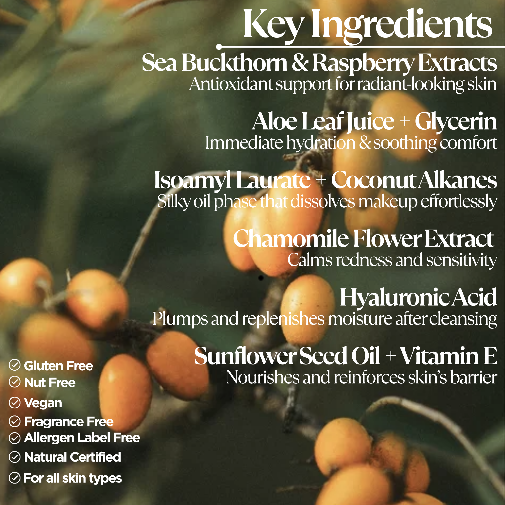 BiPhasic Make-up Remover