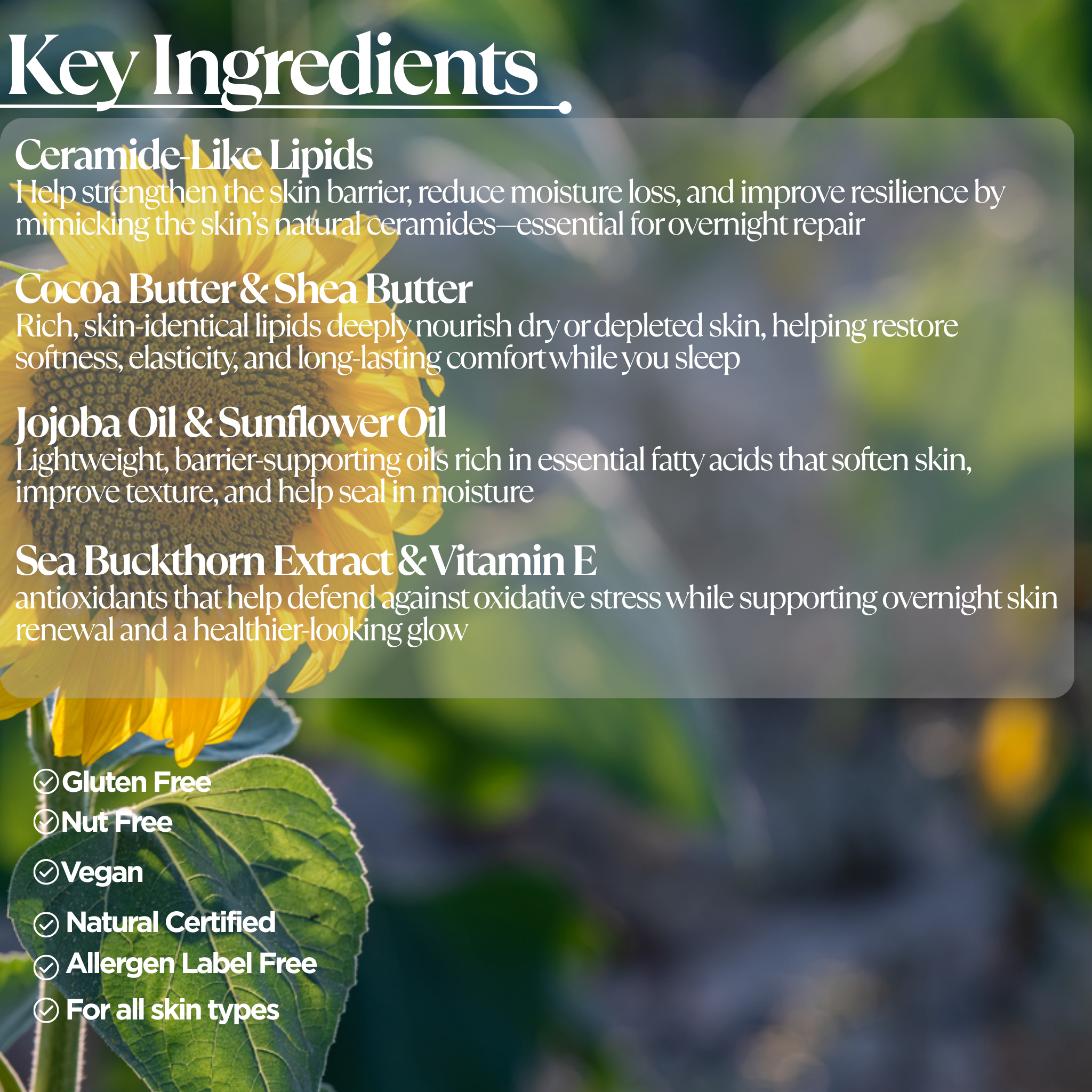 Ceramide Night Cream