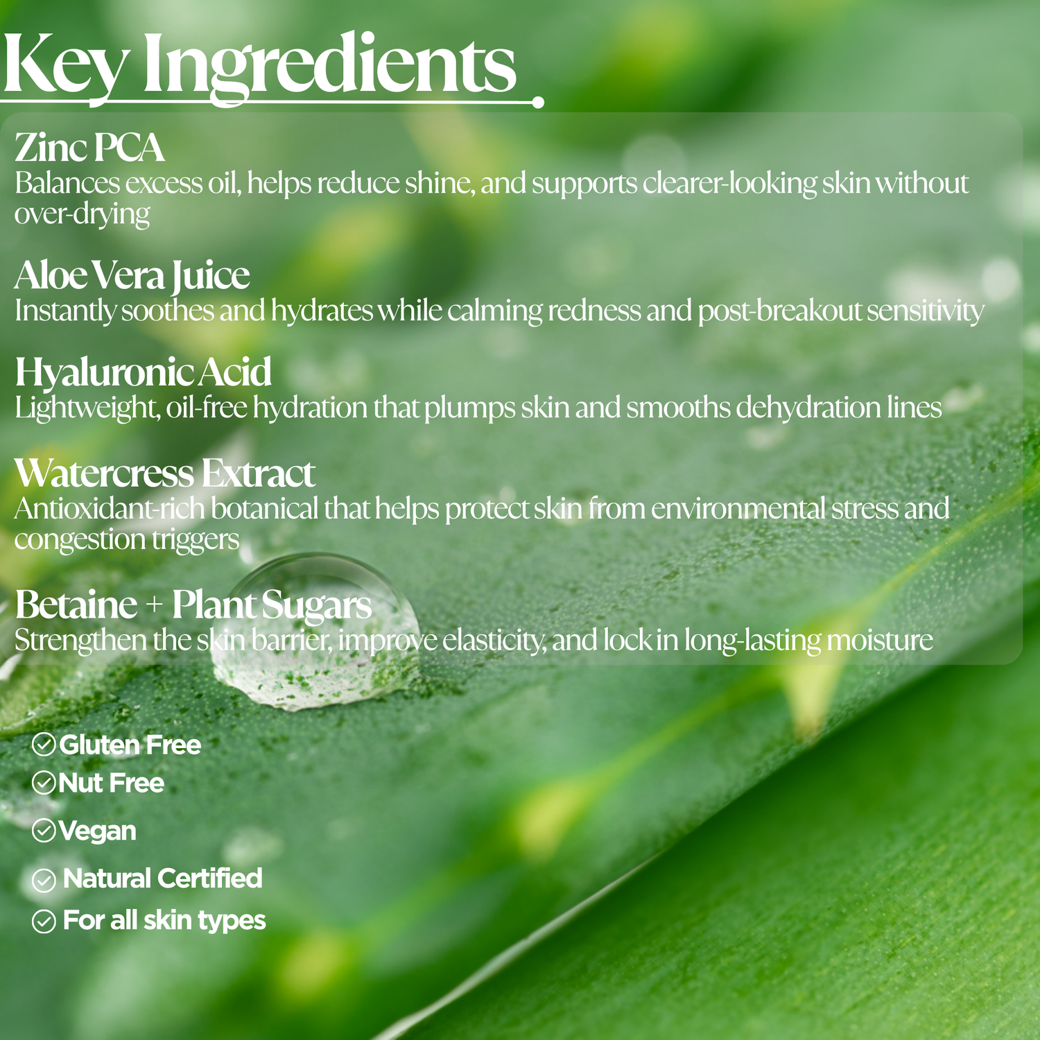 Oil-Free Zinc Face Gel