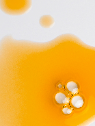Antioxidant Ginkgo Gel Booster